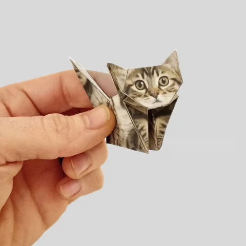 😻✨Easy DIY Paper Cats Kit | Guided Lines & Instructions Included 🎁Buy More Save More