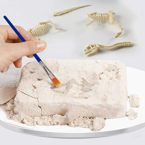 Great Educational Toy for Kids🎁New Arrival Dinosaur Fossil Digging Kit - Get Three Tools For Free🔥