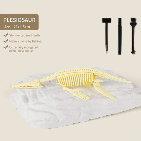 Great Educational Toy for Kids🎁New Arrival Dinosaur Fossil Digging Kit - Get Three Tools For Free🔥