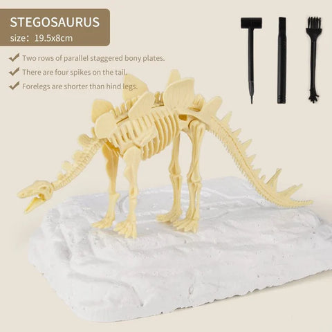 Great Educational Toy for Kids🎁New Arrival Dinosaur Fossil Digging Kit - Get Three Tools For Free🔥