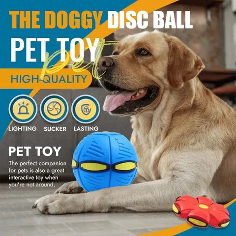 🔥2024 New Year Sale🐶The Doggy Disc Ball - Non-Stop Fun For Your Pets!💞
