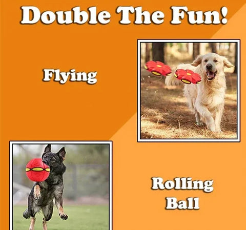 🔥2024 New Year Sale🐶The Doggy Disc Ball - Non-Stop Fun For Your Pets!💞