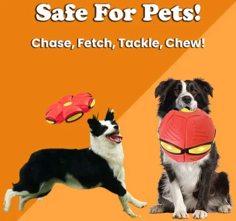 🔥2024 New Year Sale🐶The Doggy Disc Ball - Non-Stop Fun For Your Pets!💞