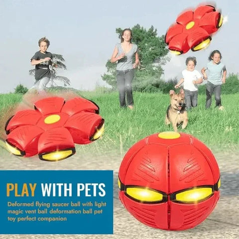 🔥2024 New Year Sale🐶The Doggy Disc Ball - Non-Stop Fun For Your Pets!💞