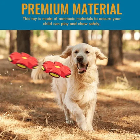 🔥2024 New Year Sale🐶The Doggy Disc Ball - Non-Stop Fun For Your Pets!💞