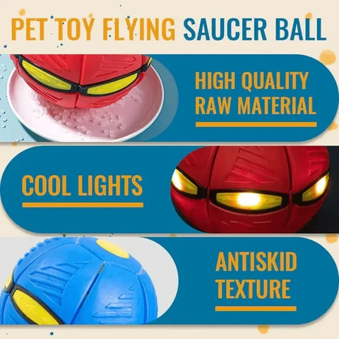 🔥2024 New Year Sale🐶The Doggy Disc Ball - Non-Stop Fun For Your Pets!💞