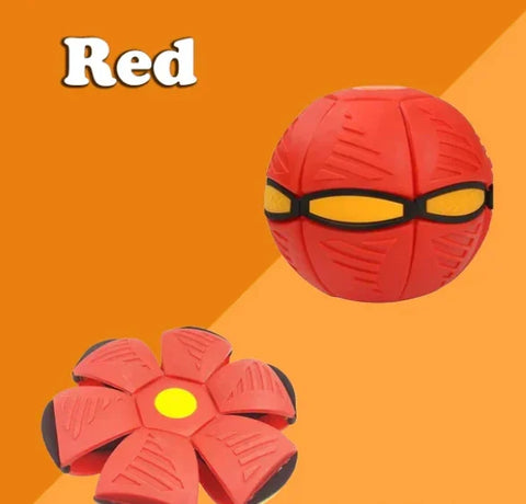🔥2024 New Year Sale🐶The Doggy Disc Ball - Non-Stop Fun For Your Pets!💞