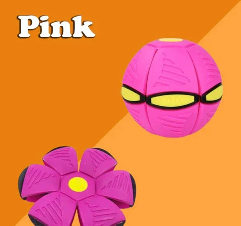 🔥2024 New Year Sale🐶The Doggy Disc Ball - Non-Stop Fun For Your Pets!💞