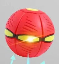 🔥2024 New Year Sale🐶The Doggy Disc Ball - Non-Stop Fun For Your Pets!💞