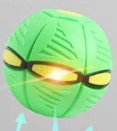 🔥2024 New Year Sale🐶The Doggy Disc Ball - Non-Stop Fun For Your Pets!💞