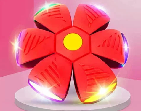 🔥2024 New Year Sale🐶The Doggy Disc Ball - Non-Stop Fun For Your Pets!💞
