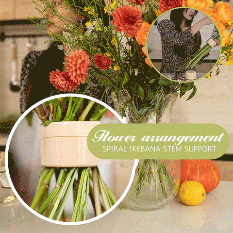 🔥🔥Gardening Promotion Save 49%-Spiral Ikebana Stem Holder