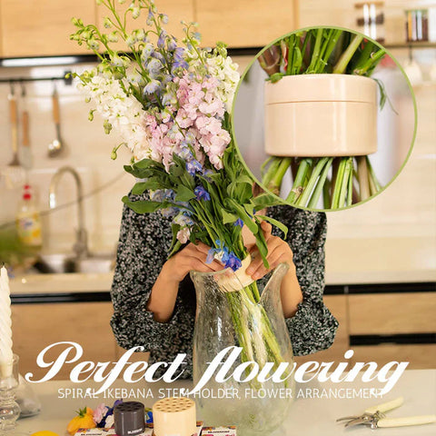 🔥🔥Gardening Promotion Save 49%-Spiral Ikebana Stem Holder