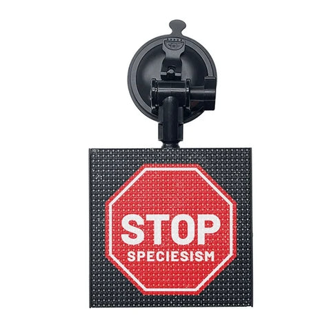 Full Color LED Screen：Create a One-of-a-Kind LED Display