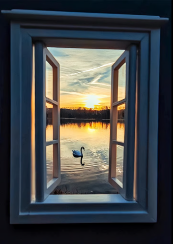 🔥LAST DAY 50% OFF - 🖼️Creative window props📷